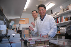 NSW DPI immunologist Dr James Chin and researcher Kent Wu at the Elizabeth Macarthur Agricultural Institute.