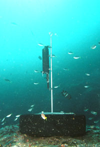 An underwater listening station