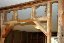 A termite-infested house frame