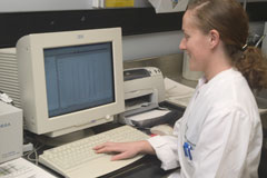 Technical Officer Michelle Flack analysing the genetic makeup of sterilised fruit flies, displayed on a computer screen.