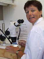 Dr Joanne Holloway's latest research is into beneficial insects in cereal crops.