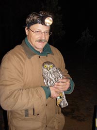 Dr Kavanagh used radio transmitters to help determine the habitat of the Pilliga Barking Owls.