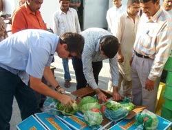 Anthony Staatz (Koala Farms, Gatton) and Hamid Ghaedi (Ghulam Ali Abdulla Trading) assess the quality of Australian vegetables on arrival in Dubai.